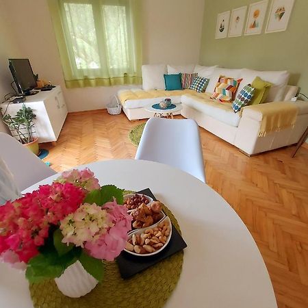 Apartments Iva Tivat Kültér fotó