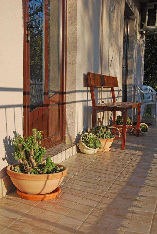 Apartments Iva Tivat Szoba fotó