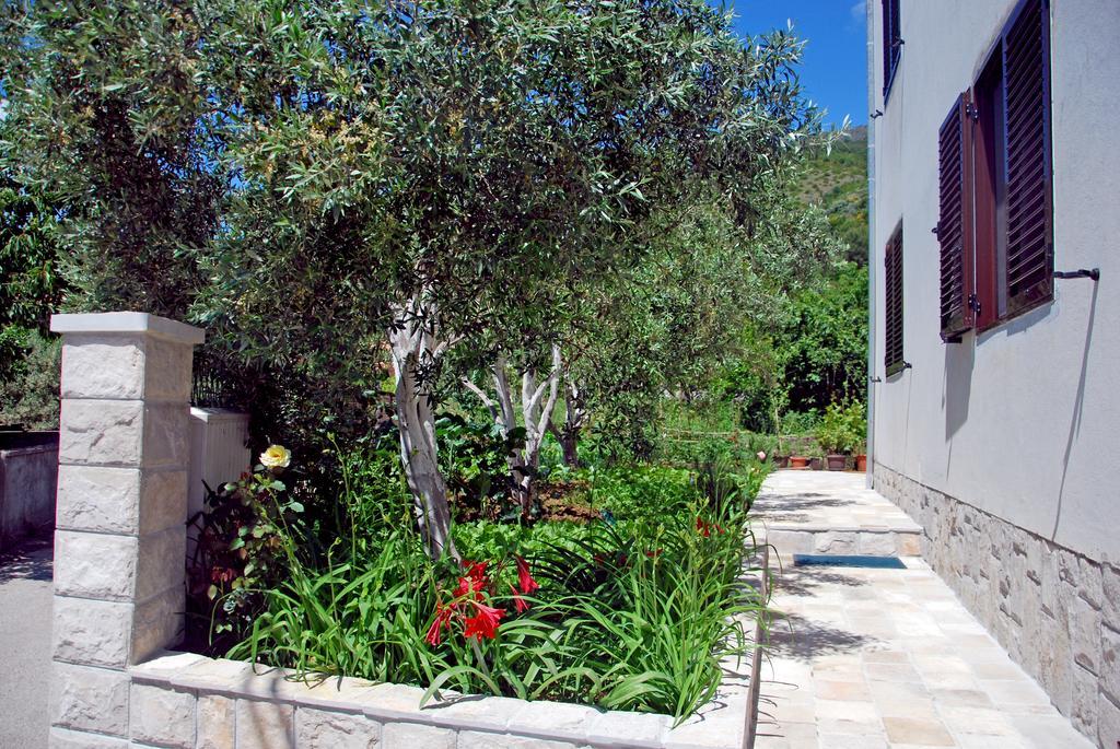 Apartments Iva Tivat Szoba fotó