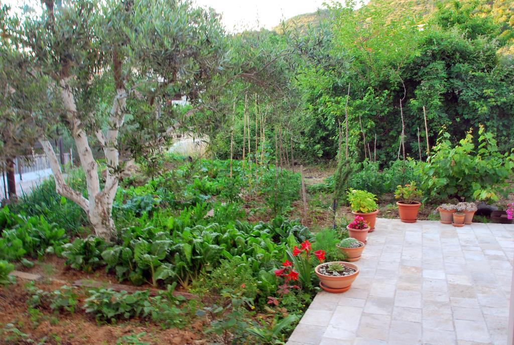 Apartments Iva Tivat Kültér fotó