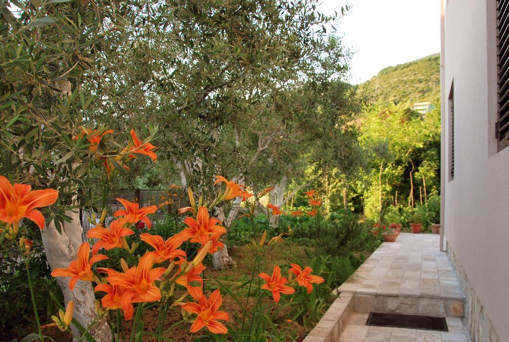 Apartments Iva Tivat Kültér fotó